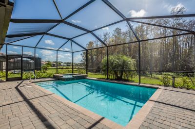 Provide Protection from Debris and Insects with a Pool Enclosure!